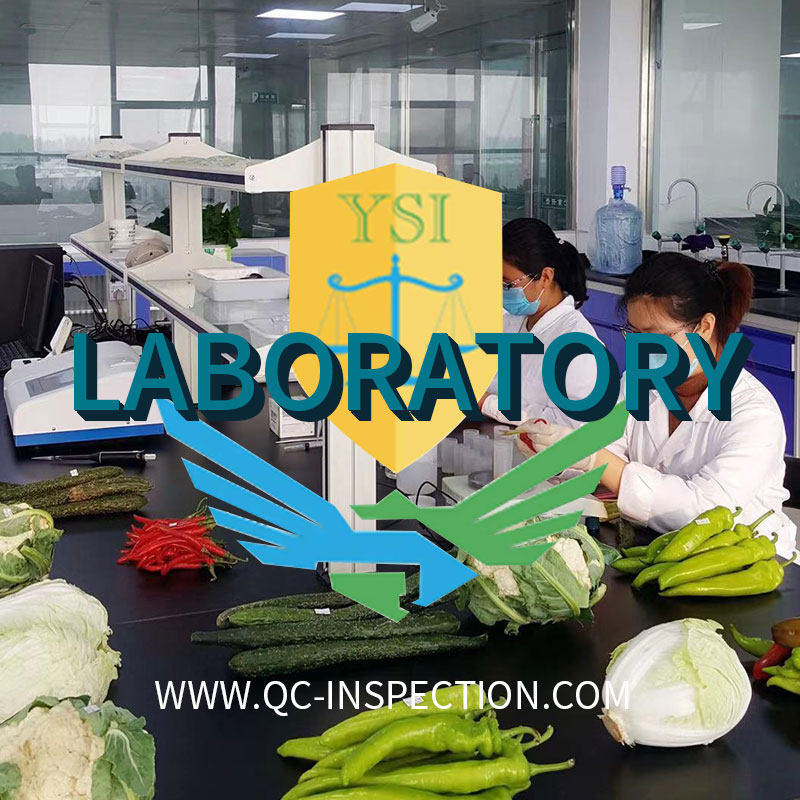 China Product Laboratory Testing Product Identification Testing Textile Testing Metal Testing Ceramic Testing Furniture Testing Steel Testing Chemicals Testing Third Party Testing Product Testing